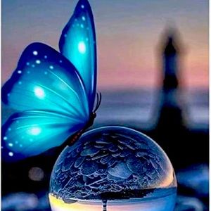 Meet your Posher, Emerald🦋